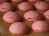 Macaron. Макарон